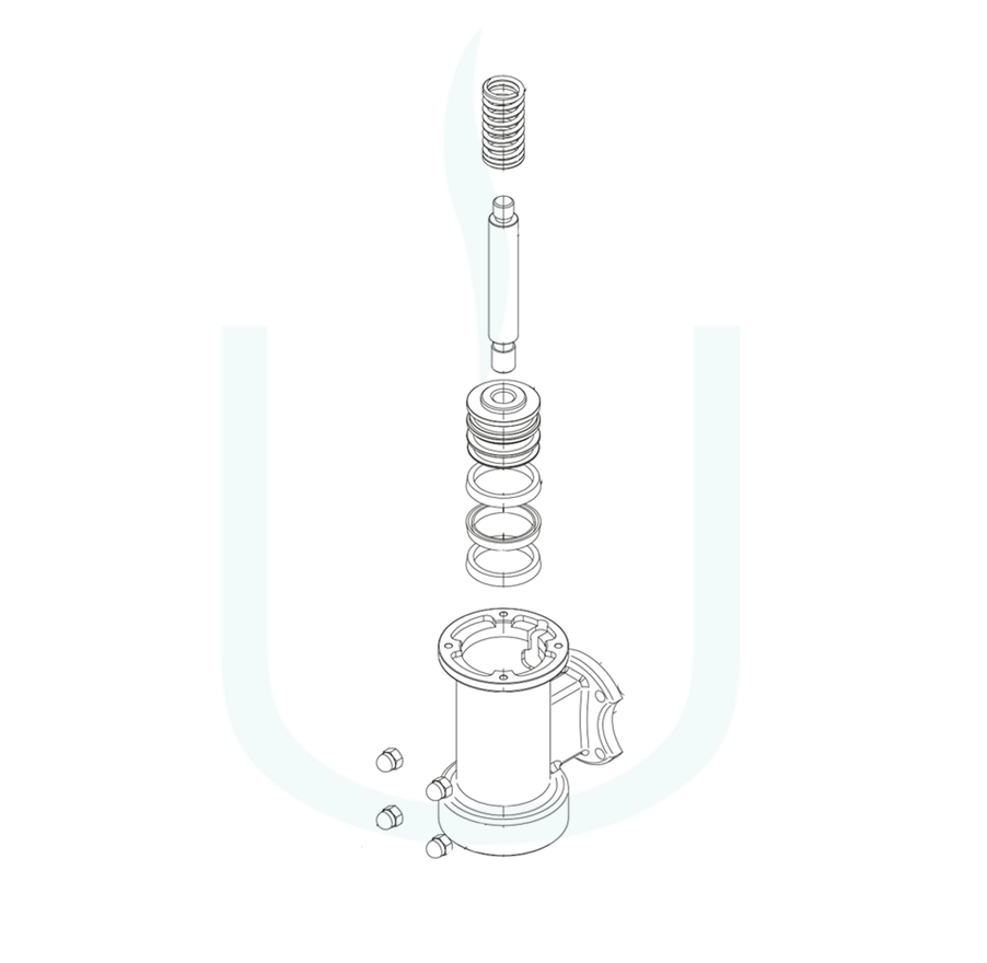 Bezzera Strega Lippendichtung Set