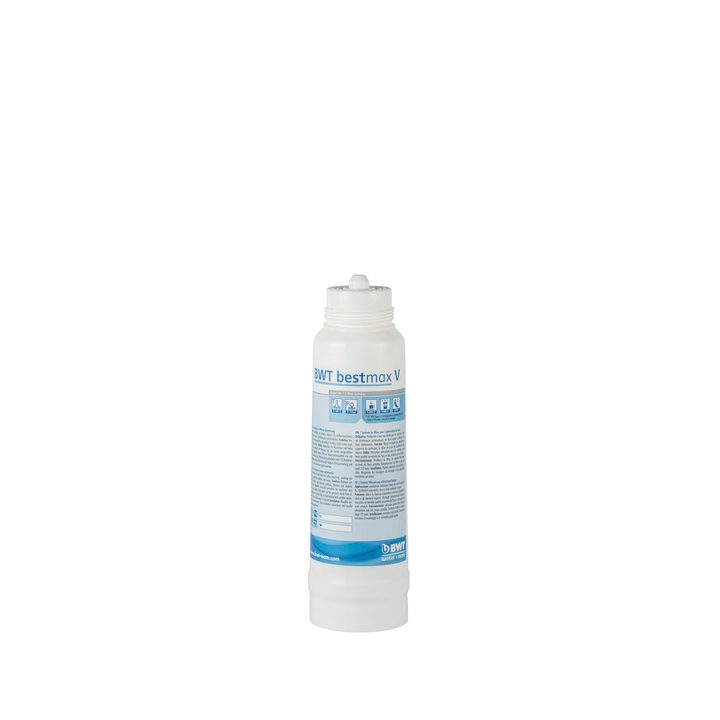 BWT Wasserfilter Bestmax V