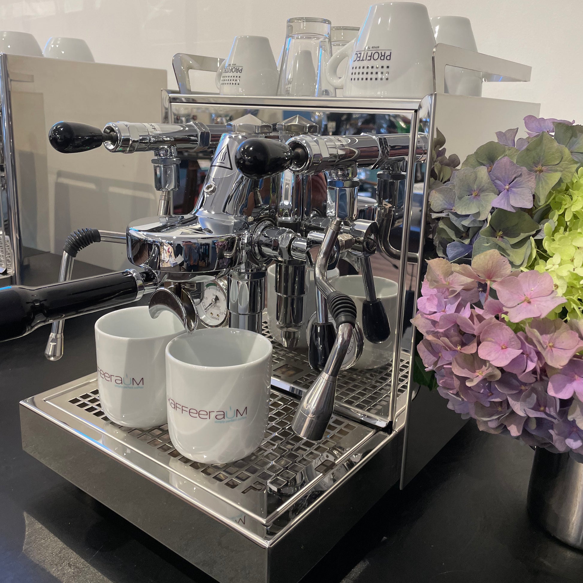 Profitec Pro 500 PID mit Kippventil -Aussteller